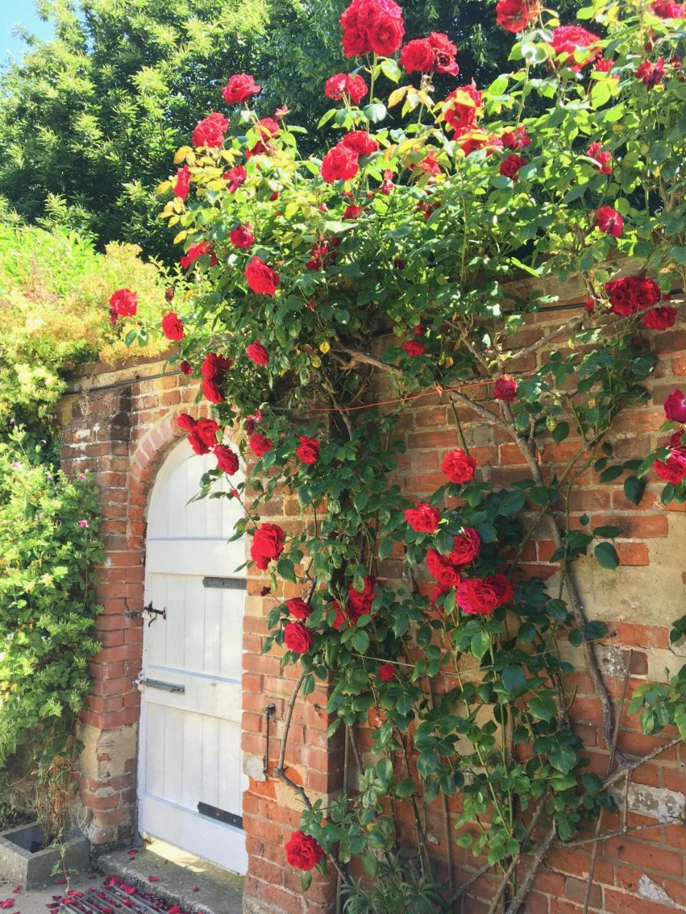 The Old Rectory B&B Kessingland Buitenkant foto